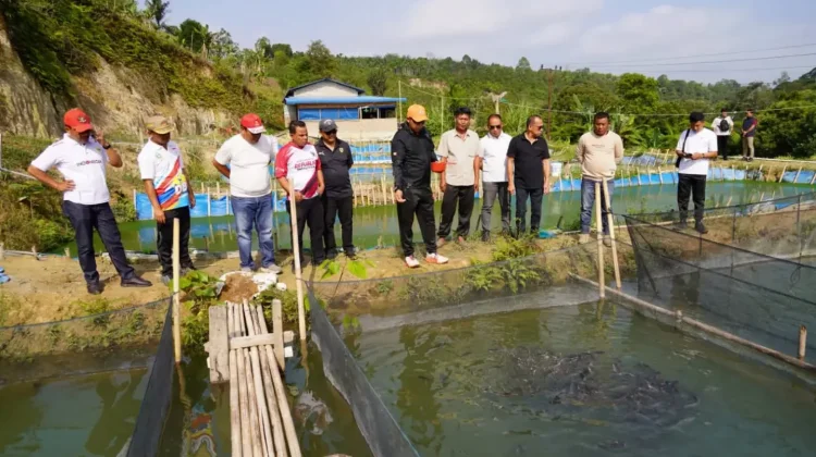 Bupati Taput Tinjau Budidaya Lele di Garoga, Komit Dorong Potensi Ekonomi Lokal