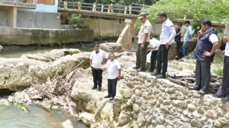 Pemko Padangsidimpuan Investigasi Kematian Ikan di Sungai Batang Ayumi