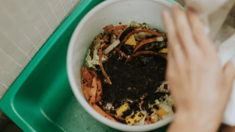 Sampah Organik Bisa Diolah Pupuk