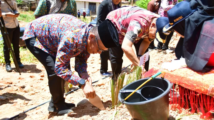 Pemkab Tapanuli Tengah Gelar Aksi Penghijauan Pulihkan Kawasan Terdampak Bencan