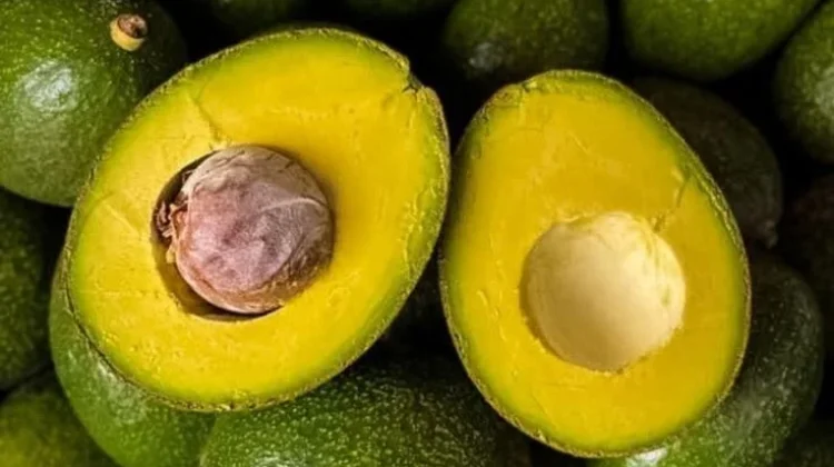 Alpukat Kaya Lemak Sehat, Jaga Kesehatan Jantung