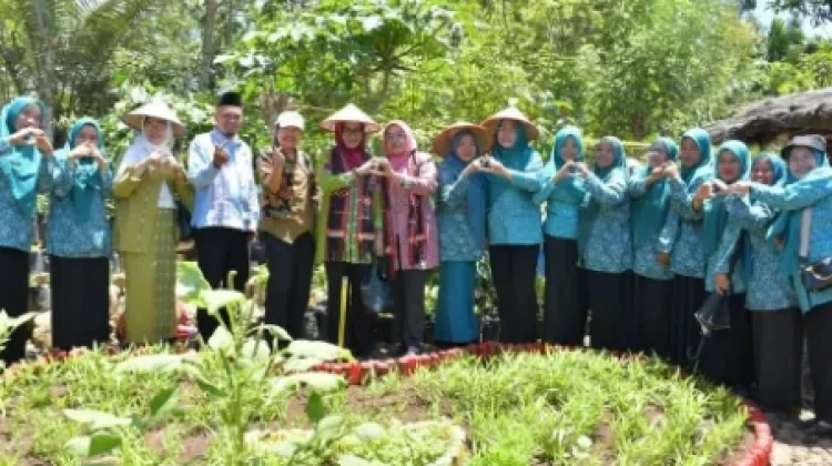 TP PKK Sumut Evaluasi Desa Huta Padang guna Pacu Kemandirian Pangan