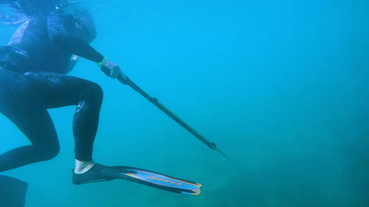 Sensasi Menyelam dan Menembak Ikan