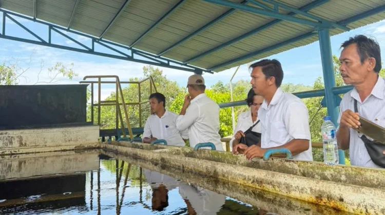 Direktur PERUMDA Mual Nauli Tinjau Langsung IPA Sosorgadong