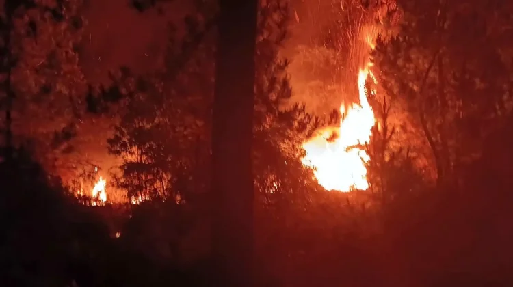 Kebakaran Lahan Dini Hari Terjadi di Desa Hutapaung