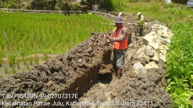Pastikan Irigasi Berfungsi, Pertanian Tapanuli Utara Terus Diperkuat