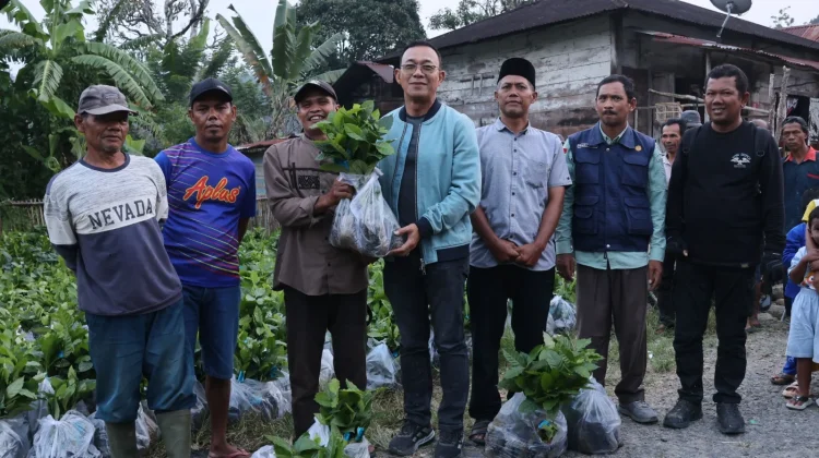 Bupati Tapsel Turun ke Desa, Serap Aspirasi Warga dan Dorong Pengembangan Kopi