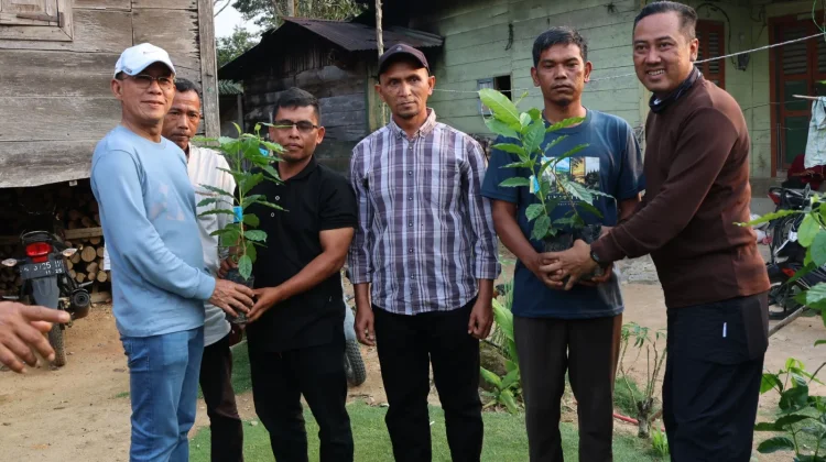 Dari Desa untuk Tapsel Bangkit, Gus Irawan Kawal Kopi 600 Hektare hingga Restocking