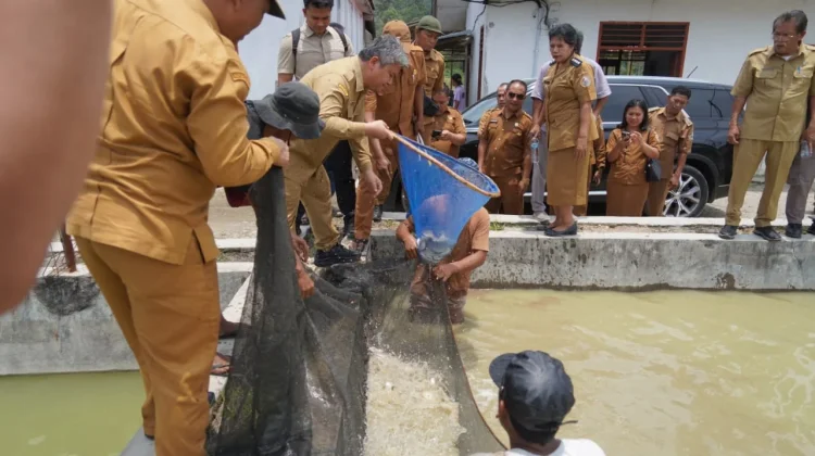 Tinjau BBI Purbatua, Pemkab Taput Dorong Inovasi Budidaya Ikan Air Tawar