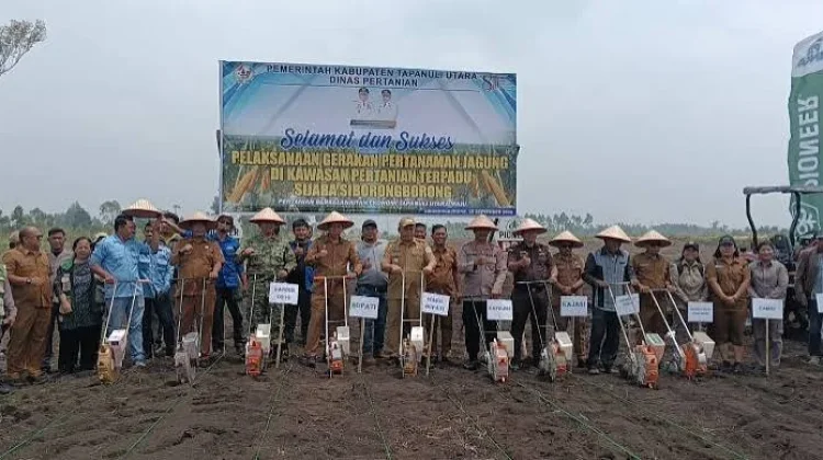 Pemkab Taput Jadikan Sijaba Model Pertanian Terpadu