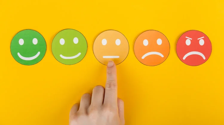 Emotion Wheel, Cara Sederhana Memahami Emosi Sehari-hari