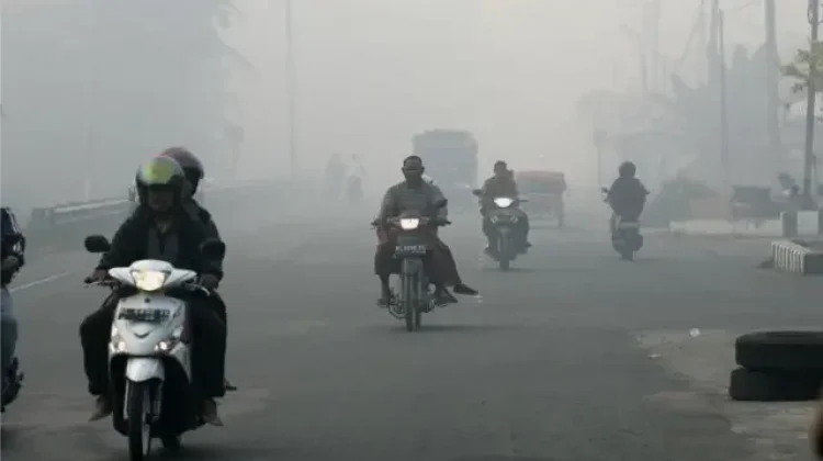 Kabut Asap Karhutla di Sibolga Perlu Diwaspadai
