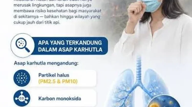Bahaya Kabut Asap Terhadap Kesehatan Sistem Pernapasan