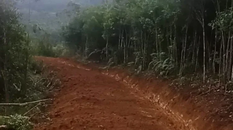 Jalan Tani Enam Kilometer Tarabintang Capai Progres 50 Persen
