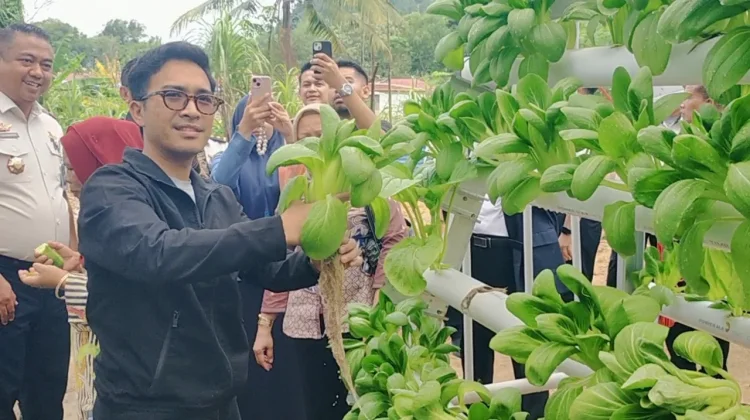 Apresiasi Program Lapas, Andika Komitmen Dorong Hidroponik Jadi Percontohan