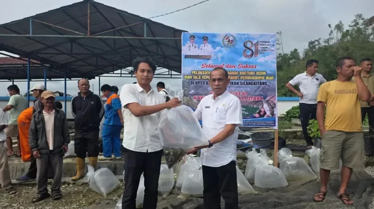 Pemkab Taput Salurkan 10 Ribu Benih Ikan Nila untuk Pembudidaya di Sipoholon