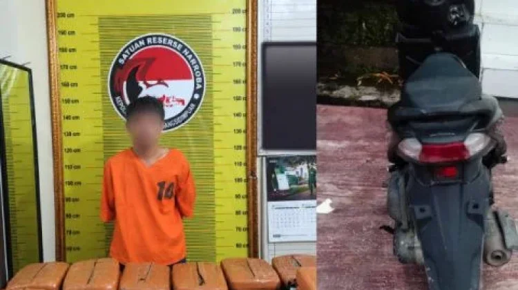 Bawa 20 Kg Ganja Pria Asal Tapsel Ditangkap Polisi