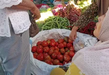 Jelang Ramadhan Harga Tomat di Pasar Nauli Sibolga Melonjak