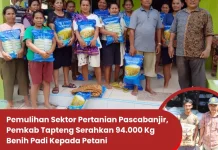 Pemkab Tapteng Serahkan 94.000 Kg Benih Padi Kepada Petani