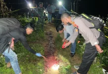 Cekcok di Warung Tuak, Seorang Pria Tewas Dihantam Kayu dan Batu