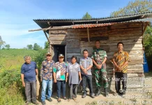 Pemkab Taput Tinjau Rumah Tidak Layak Huni Warga di Sipahutar