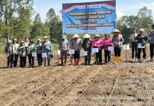 Dukung Swasembada Pangan, Polri Bersama Pemerintah Daerah Humbahas Tanam Jagung