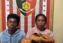 Polsek Barus Tangkap Kurir Ganja Antar Daerah