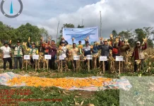 Gerakan Pengendalian Inflasi, Bupati Humbahas Panen Jagung di Paranginan