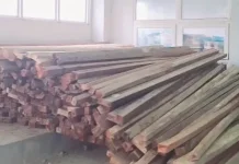 Klarifikasi Keberadaan Kayu Olahan di Kantor Bupati Tapteng