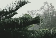 BMKG Prediksi Cuaca Tapanuli Tengah-Sibolga Turun Hujan Ringan