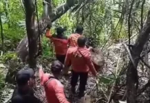 BPBD Tapteng Pantau Kondisi Perbukitan Panakkalan Pasca Longsor