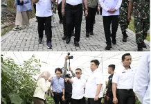 DEN Rancang Kawasan Toba Pusat Pertanian Berbasis AI