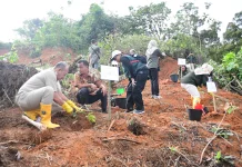 Aksi Penanaman Pohon di Sipange Tapteng