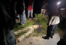 Polres Toba Selidiki Kematian Pria, Autopsi Ungkap Dugaan Penganiayaan