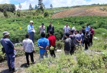Tim Kemenko dan Kementan meninjau percepatan hilirisasi nilam