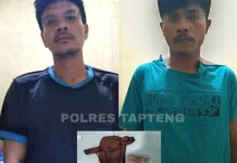 Curas di Aek Horsik Terungkap, Dua Pelaku Dibekuk Polisi