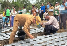 Bupati JTP Setujui Traktor dan Irigasi untuk Kelompok Tani