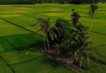Desa di Tapanuli Tengah, Berpotensi Menjadi Kawasan Agrowisata