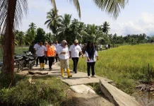 Wabup Madina Tinjau Perbaikan Sawah Terdampak Banjir