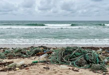 Waspada, Mikroplastik Ancam Ekosistem Laut