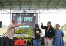 HUT ke-25 Yayasan Del, 1.000 Bibit Pohon Ditanam untuk Dukung Kelestarian Lingkungan