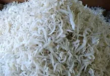 Ikan Teri Sibolga Tapteng Miliki Peluang Ekspor