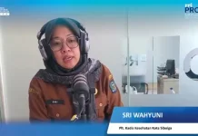 Gerakan 3M Plus, Tekan Penyebaran Demam Berdarah