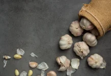 Black Garlic, Inovasi Pangan Bernilai Ekonomi
