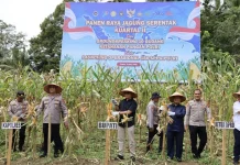 Pemkab Madina hadiri Panen Raya Jagung dan Peluncuran Empat SPPG