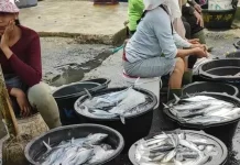 Cuaca Buruk Picu Kenaikan Harga Ikan Laut di Sibolga