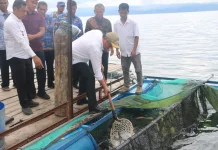 Panen Raya Ikan Nila pada Keramba Jaring Apung (KJA) yang dikelola BUMDes Saurdot