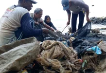 Sampah Laut Ancam Ekosistem Nelayan