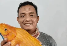 Lokasi Memancing Ikan di Sibolga-Tapteng, Ini Rekomendasinya
