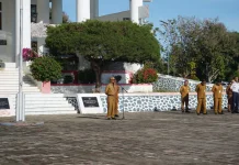 Wabup Toba Jelaskan Peran Adat dan Budaya dalam Mewujudkan Toba Mantap